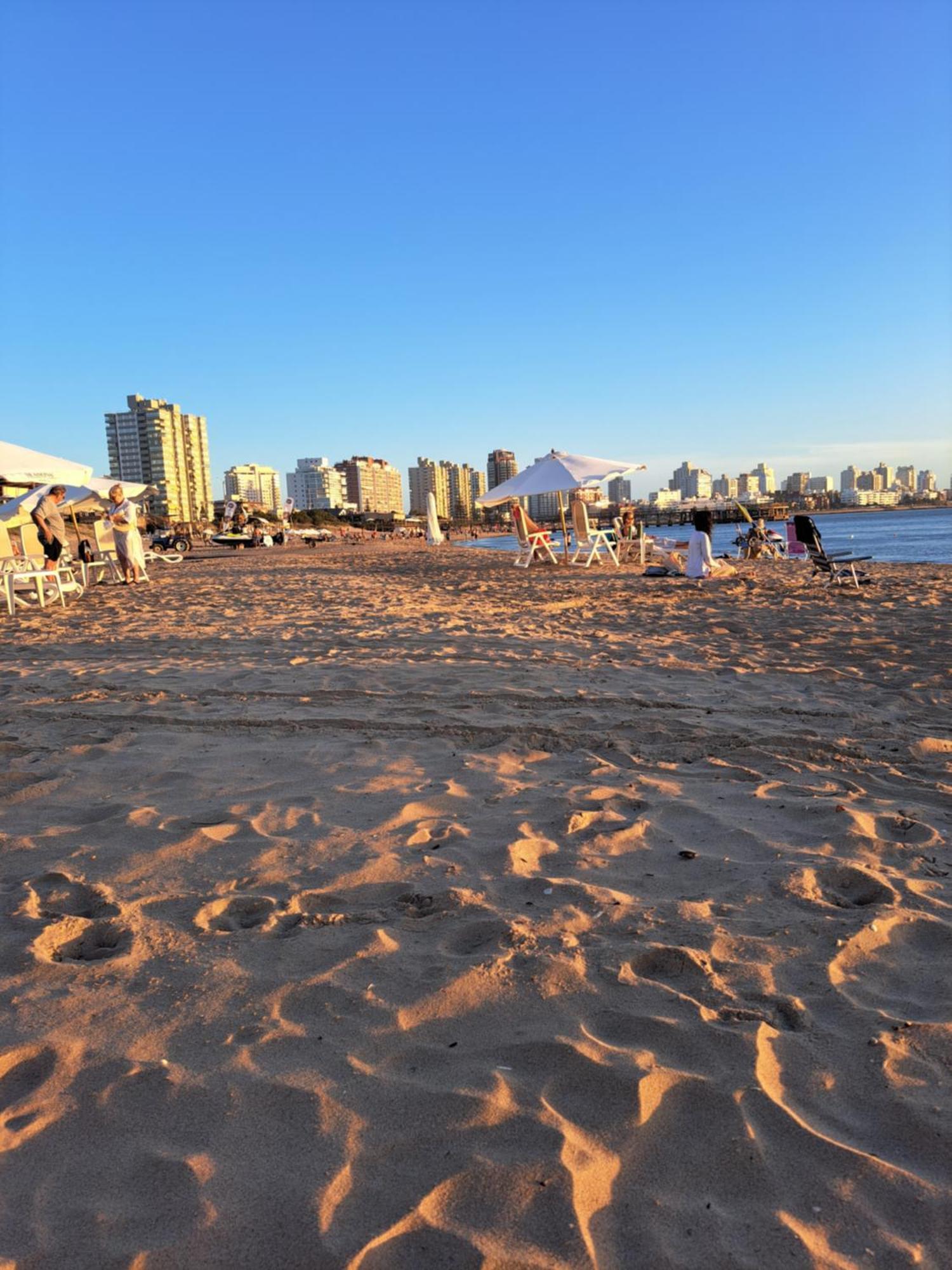 Monoambiente De Lujo En Place Lafayette - Ganadores Del Premio Award 2025 Punta del Este Zewnętrze zdjęcie