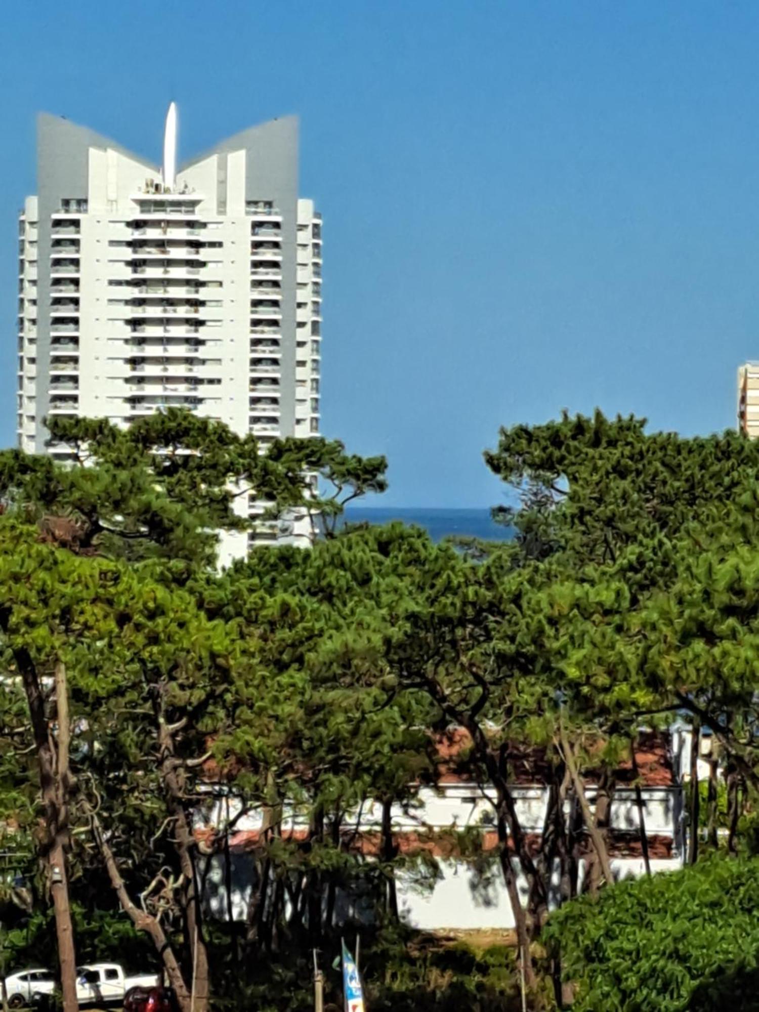 Monoambiente De Lujo En Place Lafayette - Ganadores Del Premio Award 2025 Punta del Este Zewnętrze zdjęcie